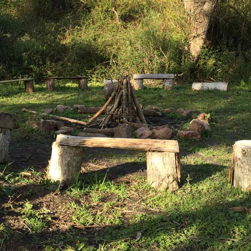 fogon del sauce campamentos adolescentes