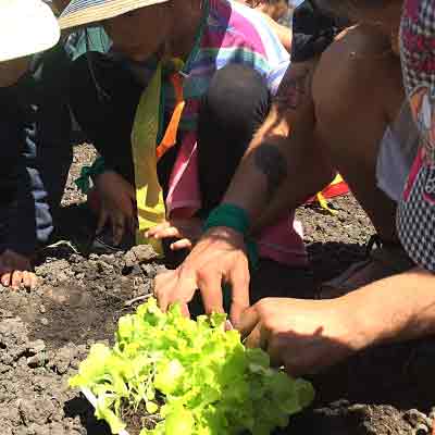 huerta organica educacion maldonado redranch